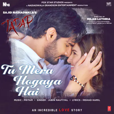 Tu Mera Hogaya Hai Lyrics