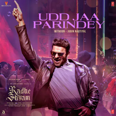 Udd Jaa Parindey Lyrics